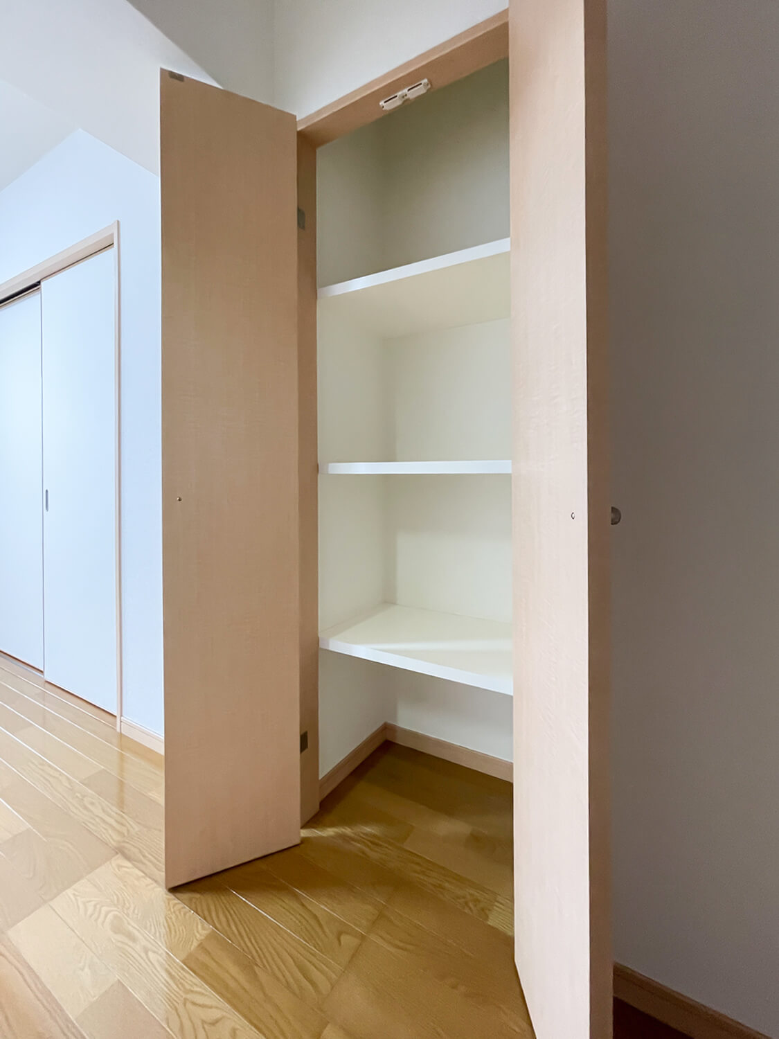 ニューガイアリルーム西新南№67 1LDKタイプ_物入　※部屋によってクロス・建具の色等変わります。