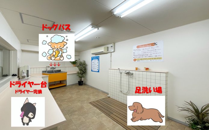 ニューガイア四季彩の丘Ｃ棟 エントランス